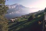 0118Walensee.jpg