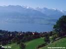 0313ThunerSee.jpg